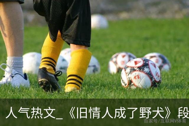 人气热文 《旧情人成了野犬》段复津谈轻棠 谈雾亦段珩常