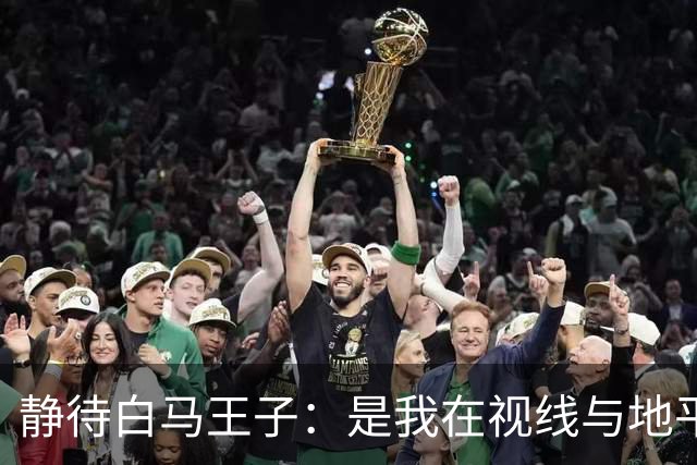 静待白马王子：是我在视线与地平线之间为你留出的可调节焦距